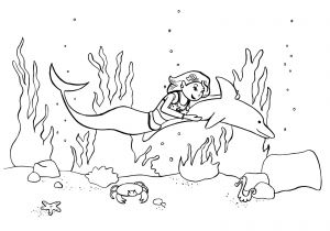 Coloriage Petite Sirène A Imprimer Coloriage   Imprimer Gratuit Coloriage Dauphin   Imprimer