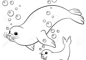 Coloriage Phoque Banquise Coloriage M¨re Phoques   Fourrure Avec son Petit Phoque Mignon Bébé