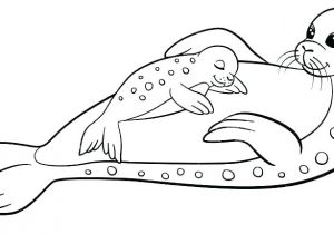 Coloriage Phoque Banquise Coloriage Phoque Coloriage orque Bacbac Phoque Et Maman En Dorque