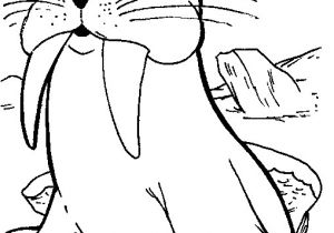 Coloriage Phoque Banquise Coloriage Phoque Les Beaux Dessins De Animaux   Imprimer Et