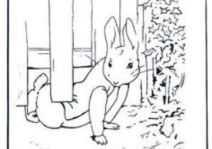 Coloriage Pierre Lapin à Imprimer Peter Rabbit Coloring Page Peter Rabbit