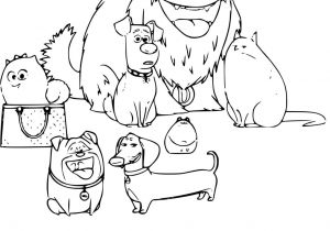 Coloriage Pierre Lapin En Ligne Coloriage Pierre Lapin top Mod¨le Les Petites Betes Coloriage