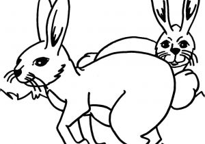 Coloriage Pierre Lapin En Ligne Coloriage Pierre Lapin Unique Papier Peint Lapin Dessin Imprimer