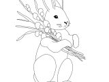 Coloriage Pierre Lapin Gratuit Coloriage Pierre Lapin Charmant Graphie Dessin De Lapin