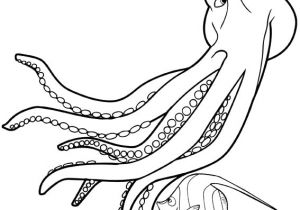 Coloriage Pieuvre à Imprimer Coloriage Coloriage De Slim La Pieuvre