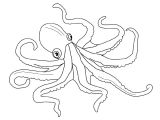 Coloriage Pieuvre à Imprimer Dessin Animé Pieuvre Az Coloriage