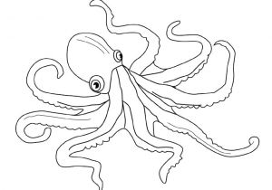 Coloriage Pieuvre à Imprimer Dessin Animé Pieuvre Az Coloriage