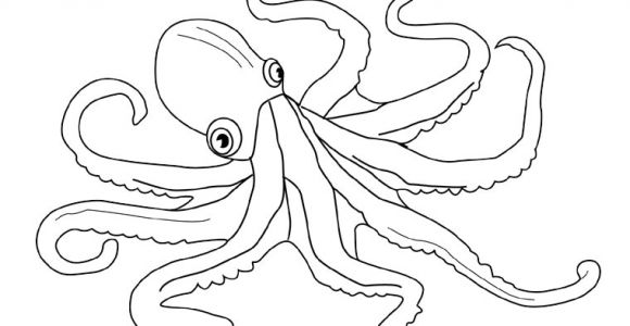 Coloriage Pieuvre à Imprimer Dessin Animé Pieuvre Az Coloriage