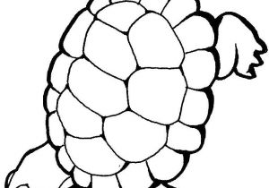 Coloriage Pieuvre Géante Samy La tortue Az Coloriage