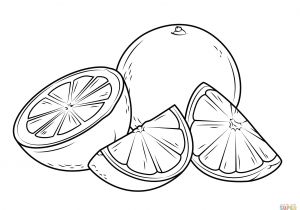 Coloriage Pieuvre Géante Two oranges One whole and the Other Cut It Pieces