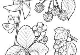 Coloriage Pirouette Cacahuète Color & Garden Vegetables Dover Publications