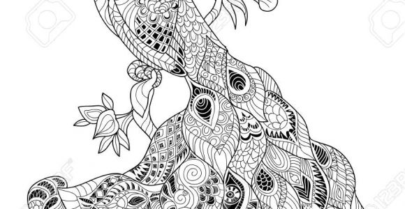Coloriage Plume De Paon Coloring Doodles Fashion Illustration Buscar Con Google