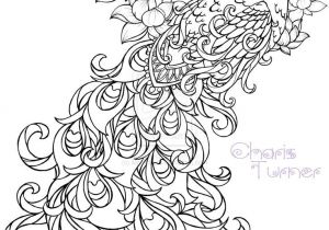 Coloriage Plume De Paon Realistic Peacock Coloring Pages Free Coloring Page