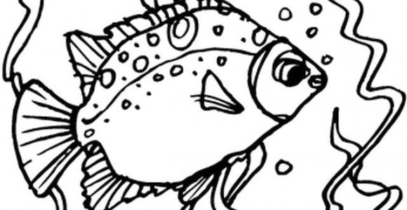 Coloriage Poisson Dans Un Bocal Poisson Coloriages Animaux Marins