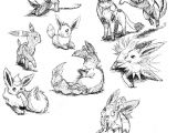 Coloriage Pokemon Famille Evoli Coloriage Pokemon Evolution D Evoli Eeveelution