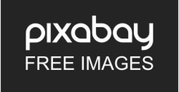 Coloriage Pokémon Légendaire Free Illustration Metal Pikachu Pikachu Pokemon Free Image On Pixabay