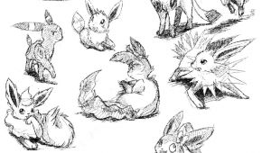 Coloriage Pokemon Mega Evolution Evoli Coloriage Pokemon Evolution D Evoli Pokémon Pinterest