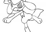 Coloriage Pokemon Riolu Coloriages Pokemon Riolu Dessins Pokemon