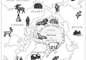 Coloriage Pole nord 167 Best La Banquise Images On Pinterest