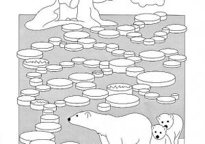 Coloriage Pole nord 285 Best P´le nord Images On Pinterest