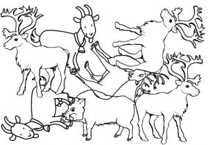 Coloriage Pole nord Imprimer Coloriage Animaux Pole nord Jecolorie
