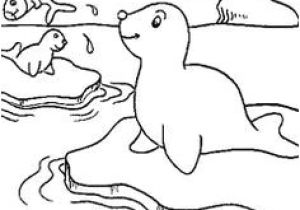 Coloriage Pole nord Imprimer Coloriage Banquise Pole nord