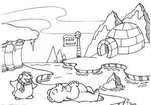 Coloriage Pole nord Imprimer Coloriage Banquise Pole nord