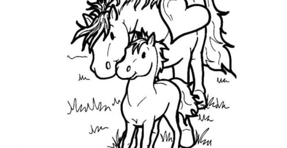 Coloriage Poney Et Cheval Coloriage Cheval Et Poney Dessin