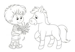 Coloriage Poney Et Cheval Gallery Of Dessin Colorier De Cheval Poney Et Poulain