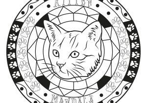 Coloriage Pour Ado Mandala Chat Par Allan Coloriage Mandalas Coloriages Pour Enfants