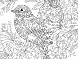 Coloriage Pour Adulte A Imprimer Gratuit Coloriage Adultes Des Oiseaux Dory Coloriages Coloriage Pour Adulte A Imprimer Gratuit Coloriage Adultes Des Oiseaux Dory Coloriages