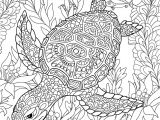 Coloriage Pour Adulte Anti Stress à Imprimer Coloriage Antistress Une tortue Marine Lulu La Taupe