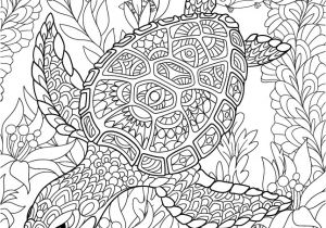 Coloriage Pour Adulte Anti Stress à Imprimer Coloriage Antistress Une tortue Marine Lulu La Taupe