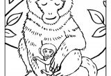 Coloriage Pour Colorier.com 77 Best Coloriages De Bébés Animaux Images On Pinterest