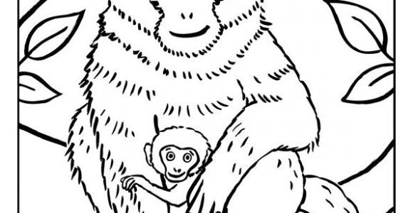 Coloriage Pour Colorier.com 77 Best Coloriages De Bébés Animaux Images On Pinterest