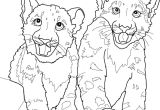 Coloriage Pour Enfant Com Coloriage Le Singe Et Le Leopard Pour Enfant