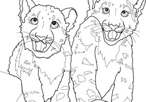 Coloriage Pour Enfant Com Coloriage Le Singe Et Le Leopard Pour Enfant