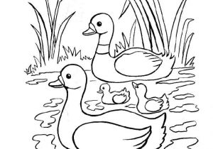 Coloriage Pour Enfant Com Coloriage Pour Enfant Canard