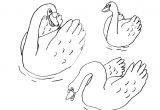 Coloriage Pour Enfant Com Coloriage Pour Enfant Cygne