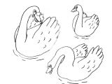 Coloriage Pour Enfant Com Coloriage Pour Enfant Cygne