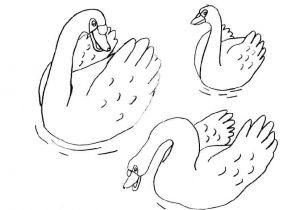 Coloriage Pour Enfant Com Coloriage Pour Enfant Cygne
