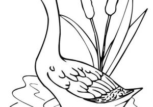 Coloriage Pour Enfant Dora épinglé Par Pengadaan Indonesia Sur Goose Coloring Pages