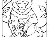Coloriage Pour Enfants De 3 Ans 77 Best Coloriages De Bébés Animaux Images On Pinterest