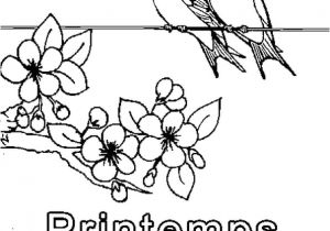 Coloriage Pour Le Printemps Printemps Coloriage Printemps En Ligne Gratuit A