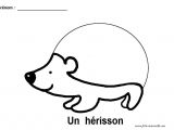 Coloriage Pour Maternelle Petite Section Graphisme Gs Et Ms Le Herisson Lignes Brisées