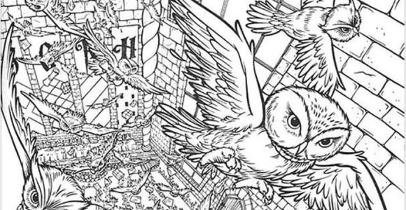 Coloriage Pour Papa A Imprimer Coloriages   Imprimer Harry Potter