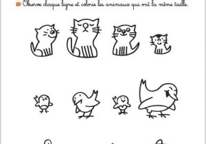 Coloriage Pour toute Petite Section Exercice Petite Section Maternelle Beau 100 Fiches Pour Reussir La