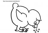 Coloriage Poussin Piou à Imprimer Coloriage Poule Imprimer Coloriage Prscolaire De Pques Et De