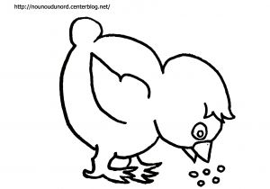 Coloriage Poussin Piou à Imprimer Coloriage Poule Imprimer Coloriage Prscolaire De Pques Et De