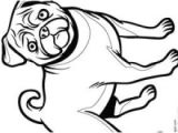 Coloriage Princesse A Imprimer Hugo L Escargot Hugo L Escargot Coloriage Gratuit A Imprimer Animaux